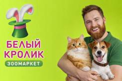 �������-���������. �� ��������� �.�. �������� ���� 49 ����