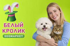 ��������-������. �� ��������� �.�. �������� 60-����� ������� 67� ����