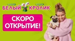 ��������-������. �� ��������� �.�. �������� 100-����� ������������ 150� ����