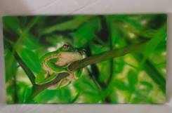 ������� ������� ������ ������ �������� ����� 60x33x2,5 ����