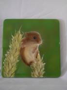 ������� ������� ������ ������, ��������, ����� 40x40x3 ����