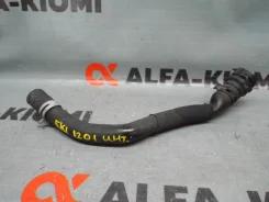 �������� ��������� Volkswagen Golf 1K0122051GT ����