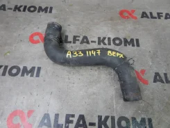 �������� ��������� Nissan Cefiro, Maxima 215012Y000 ����