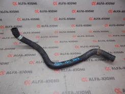 �������� ��������� Honda Civic, Domani, Integra SJ, Partner 19502P2A000 ����