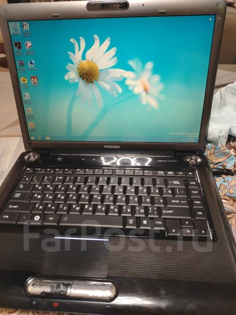 Toshiba. ��� 256 �� � ������, WiFi: 1, Bluetooth: 1 ����
