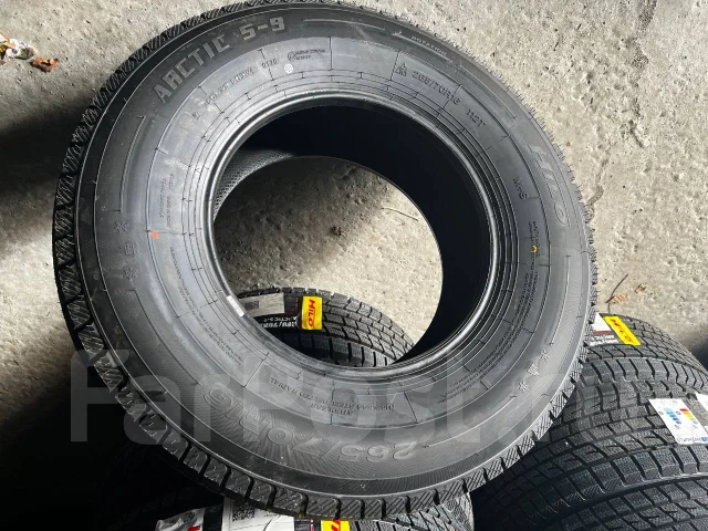 Hilo Arctic S9. ������, ��� �����, 2026 ���, ����� ����