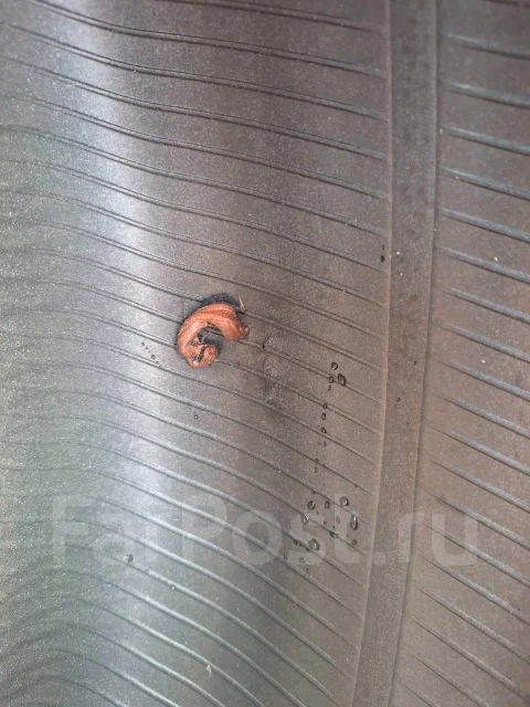 Bridgestone Ecopia EP850. ������, 2019 ���, �/�, ����� 50 % ����