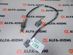 ������ ����������� Honda Civic, Civic Ferio 36532PLMA01 ����