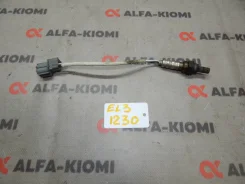 ������ ����������� Honda Orthia 36531P7J004 ����