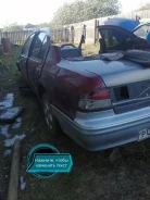 Nissan Maxima ����