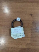 ������� ��������� �������� ����
