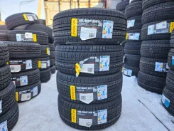 Hilo Arctic S8. ������, ��� �����, 2026 ���, ����� ����