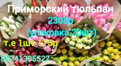 ��������. ����