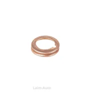 ��������� ������� ������ Renault/Nissan/Infiniti /17x12x3mm GIE11143 ����