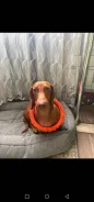 �����. ����