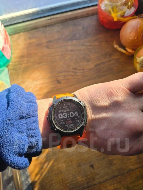 Garmin ����