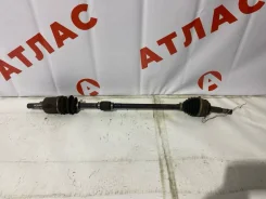 ������ Nissan AD 2001 391004M465 VFY11 QG15DE, �������� ������ 391004M465 ����