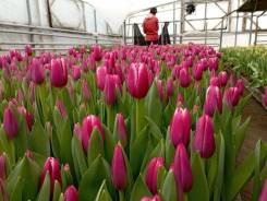 ��������. ��� ����� �� ������������ ����