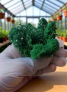 ����� �����������������. ����