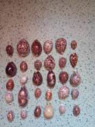 ��������� ������� ����