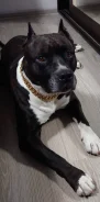 ������������ ��������������� ������. ����