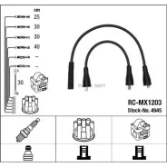 ������� �������������� RCMX1203 NGK-NTK 4945 4945 ����