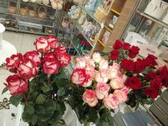 �������. ���������. �������� �������� ������� 87 ��� 2 ����