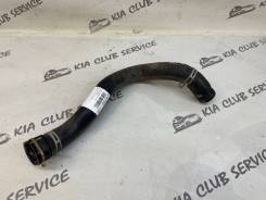 �������� ��������� KIA K5 2022 25414L1400 DL3, �������� 25414L1400 ����