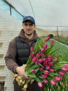 ��������. ��� ����� �� ������������ ����