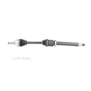 ������ � ����� FORD Connect BM 02-13 BSG30350001 ����