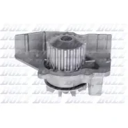 ������� ����� DOLZ C117 C117 ����