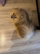 ����. ����