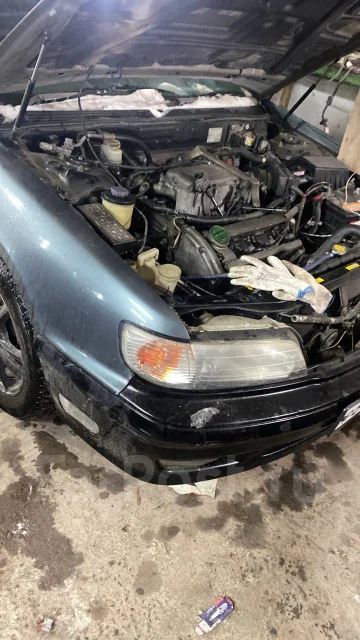 Nissan Cefiro. A32403782, VQ20 ����