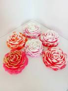 ��������� ���� ������ ������ ����