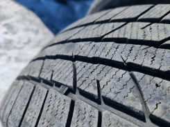 Zeetex WP1000. ������, ��� �����, 2019 ���, �/�, ����� 30 % ����