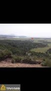 ��������� ������� ��������� ������� � ��������� ������. 1298����., ������������� ����