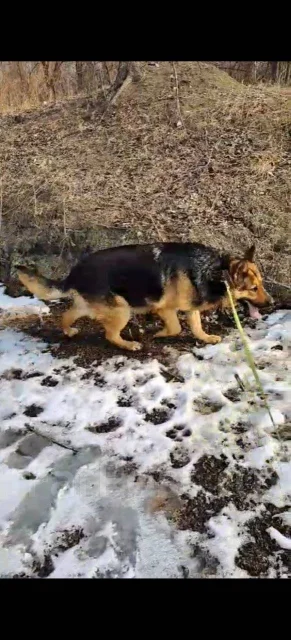 ������ �����. ��� ����� �� ������ ����