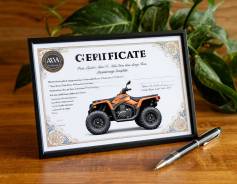 ����������, ������� 23 �������, ������ ������������ ����