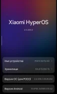 Xiaomi Poco X6 Pro. �/�, 256 ��, ������, 5G ����