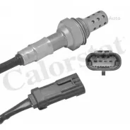 ������-���� Renault Clio/Espace/Kangoo/Megane/Lagu�na/Scenic/Twingo/Trafic 1.2-2.0 95- LS140132 ����