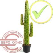 ������� �������������. ����