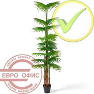 ������ �������������. ����