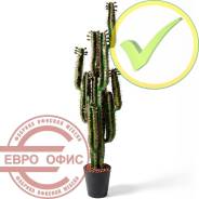 ������� �������������. ����