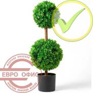 ������������� �����, ��������. ����