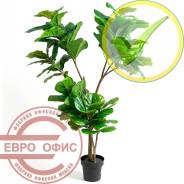 ������ �������������. ����