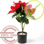 ������������� �����, ��������. ����