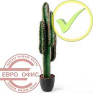 ������� �������������. ����