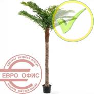 ������ �������������. ����