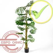 �������� �������������. ����