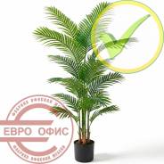 ������ �������������. ����